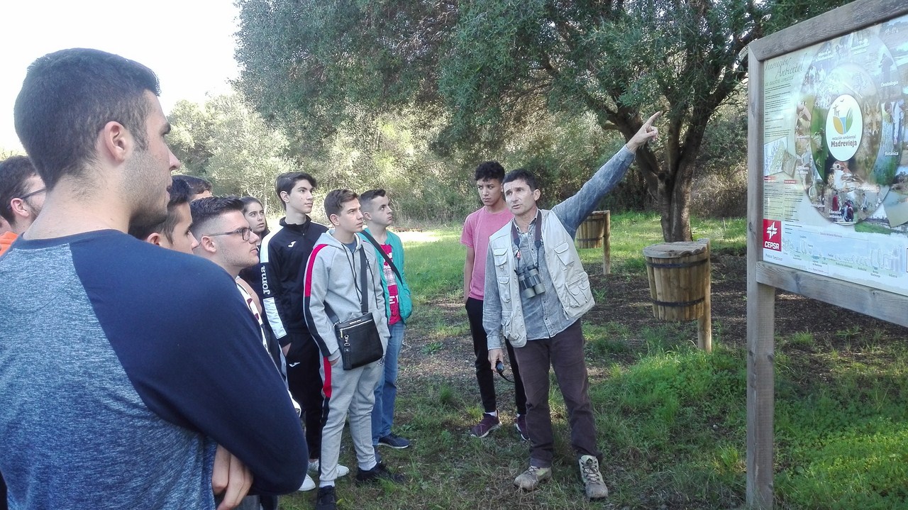 IMG 20181128 131029 (Copy)